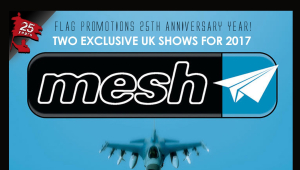 Image of Mesh